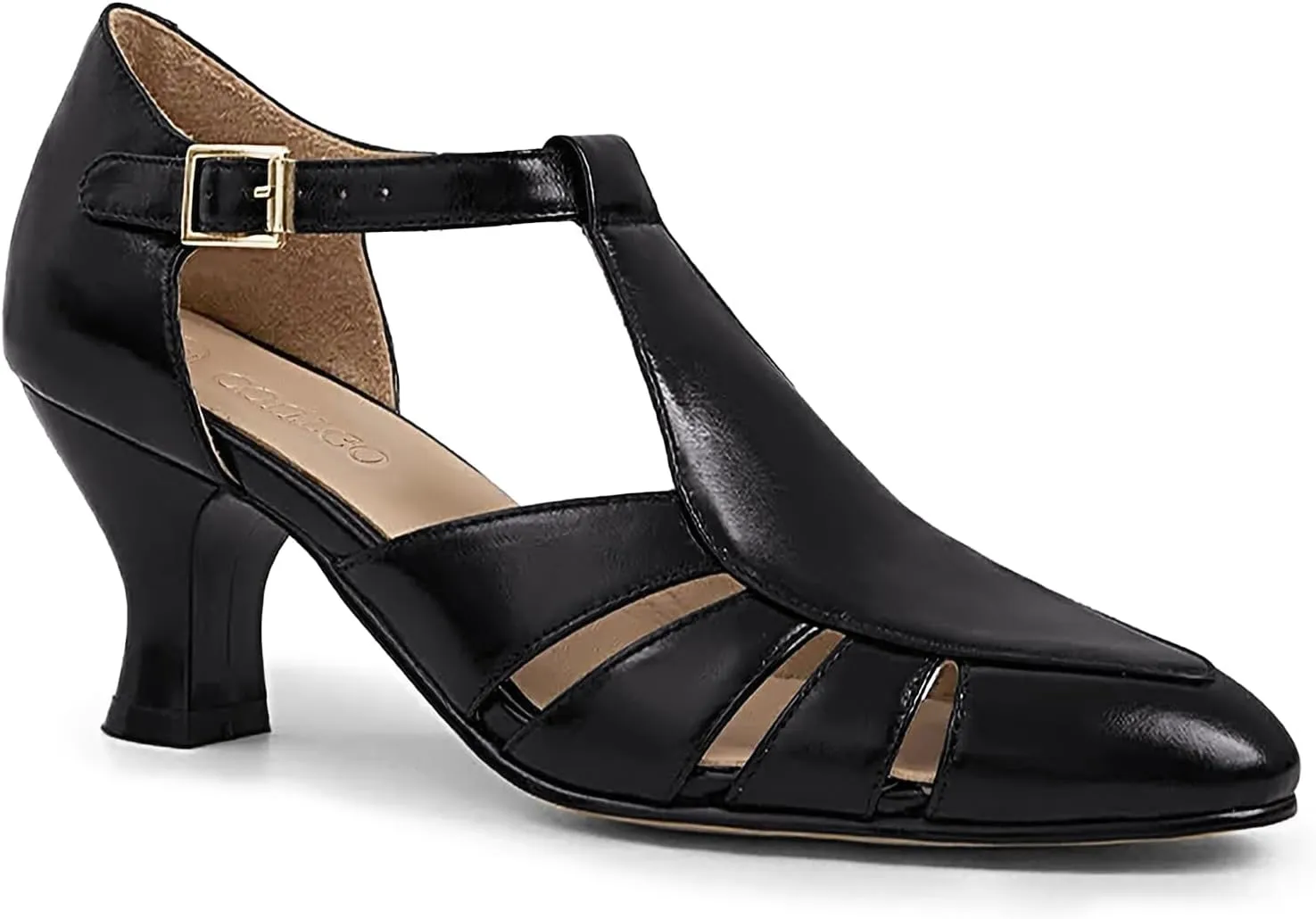 Coutgo Womens Low Heel Dress Shoes T-Strap Mary Jane Kitten Heels Dance Vintage Cutout Pumps