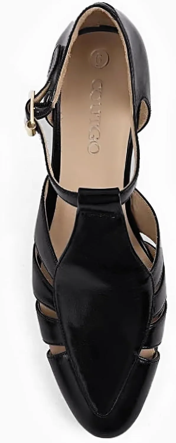Coutgo Womens Low Heel Dress Shoes T-Strap Mary Jane Kitten Heels Dance Vintage Cutout Pumps