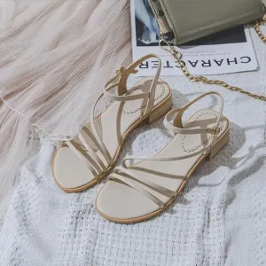 LBSFY  -  Fashion Narrow Band Sandals Women Low Heel Gladiator Sandal 2024 Summer Thick Heel Shoes Female Casual Outdoor Sandalias Mujer
